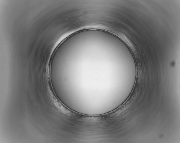 X0000090701044200707200924