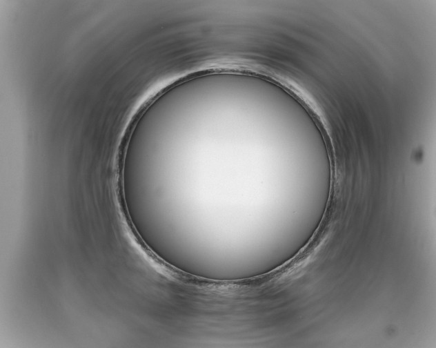 X0000090701045200707200924