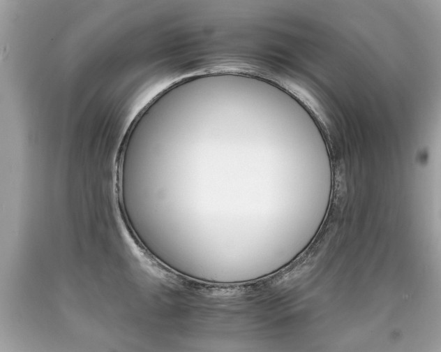 X0000090701047200707200924