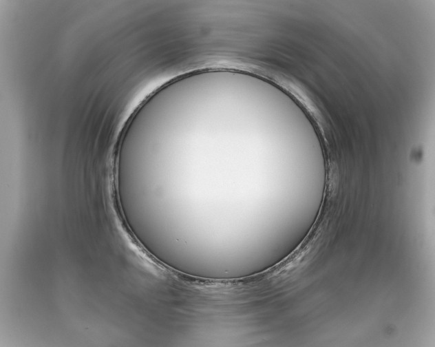 X0000090701048200707200924