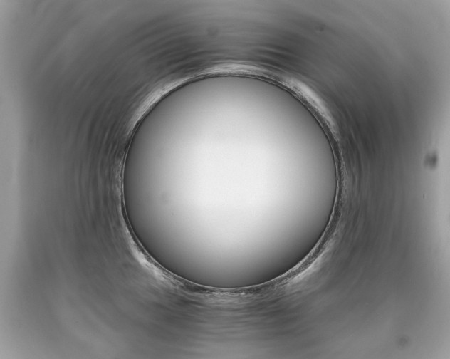 X0000090701049200707200924