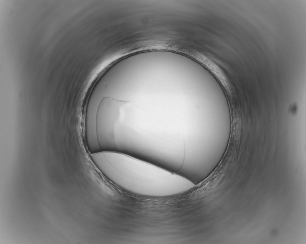 X0000090701051200707200924