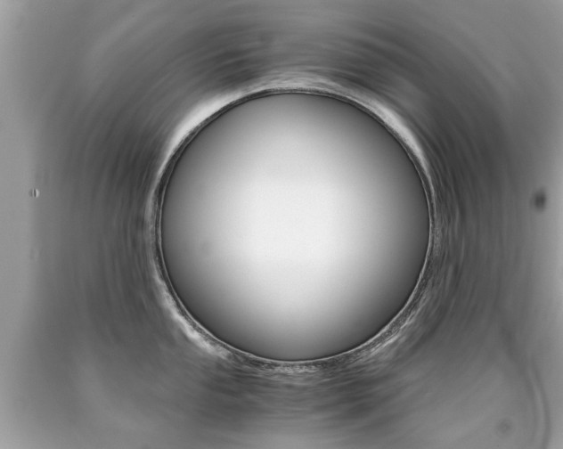 X0000090701053200707200924