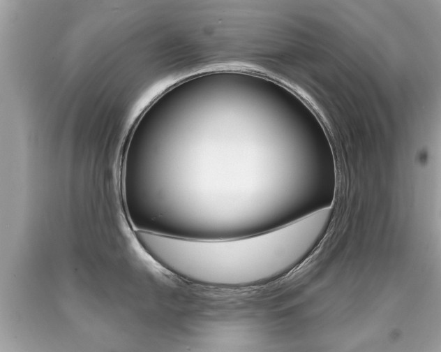 X0000090701054200707200924