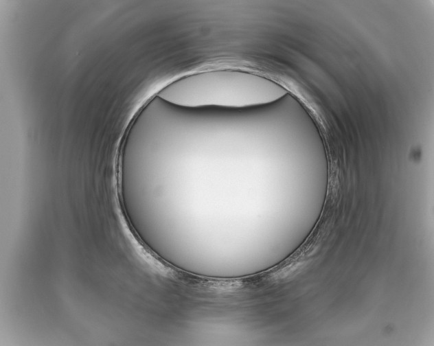 X0000090701055200707200924