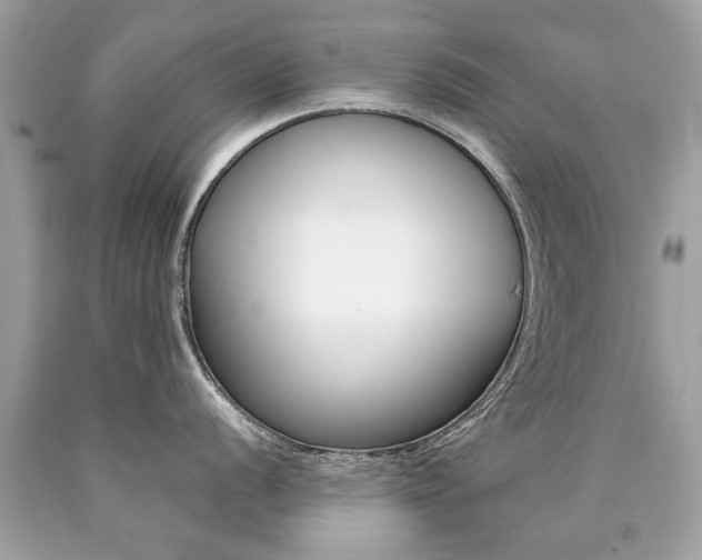 X0000090701056200707200924