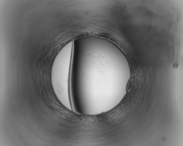 X0000090701058200707200923