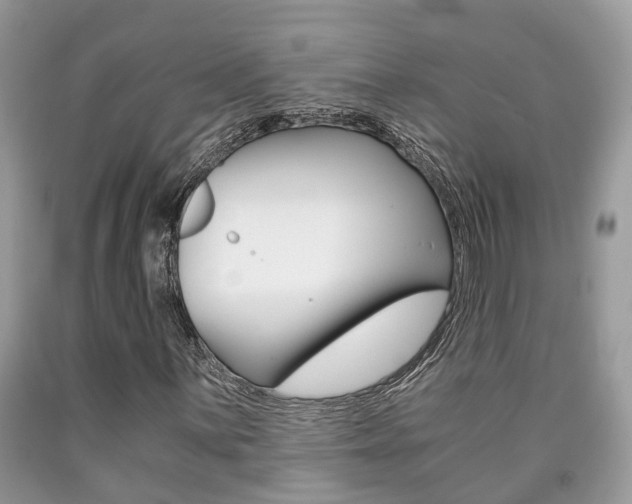 X0000090701059200707200923