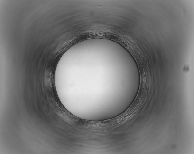 X0000090701060200707200923
