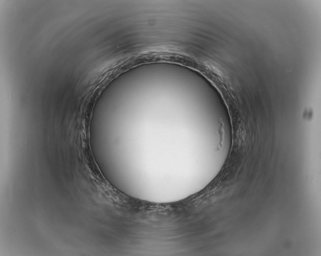 X0000090701062200707200923