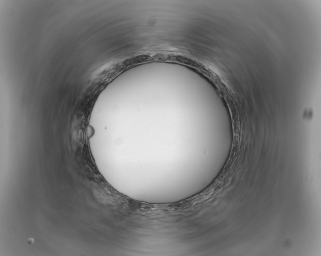 X0000090701063200707200923