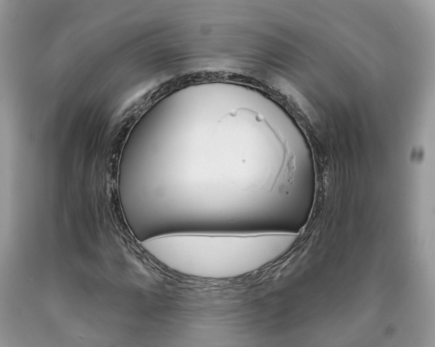 X0000090701064200707200923