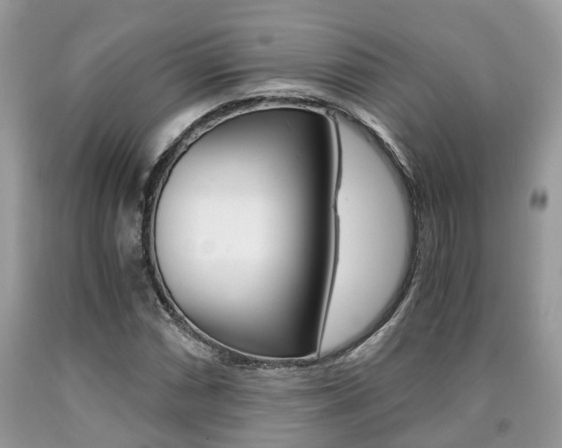 X0000090701066200707200923