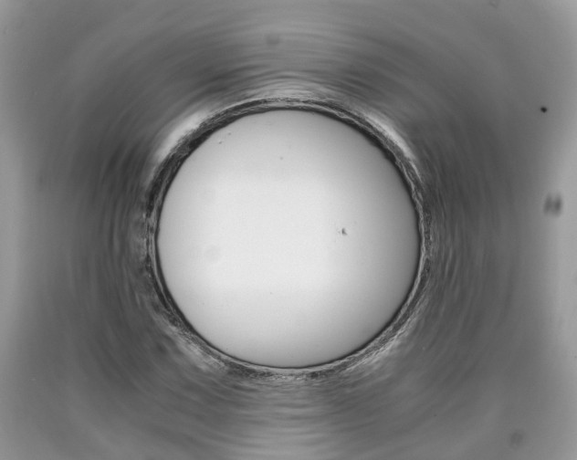 X0000090701067200707200923