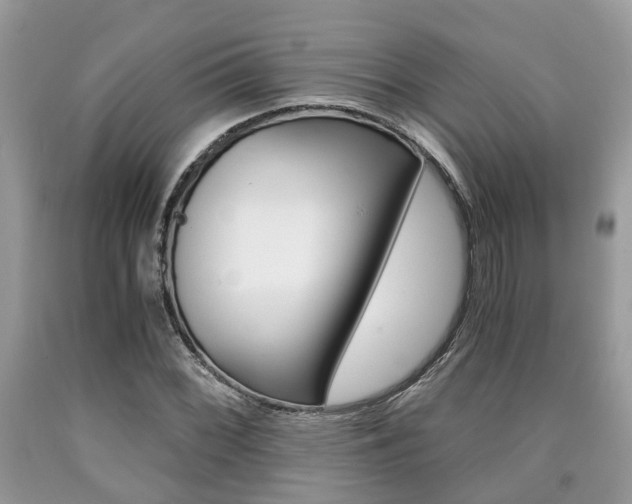 X0000090701068200707200923