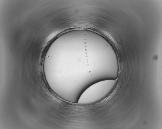 X0000090701071200707200923