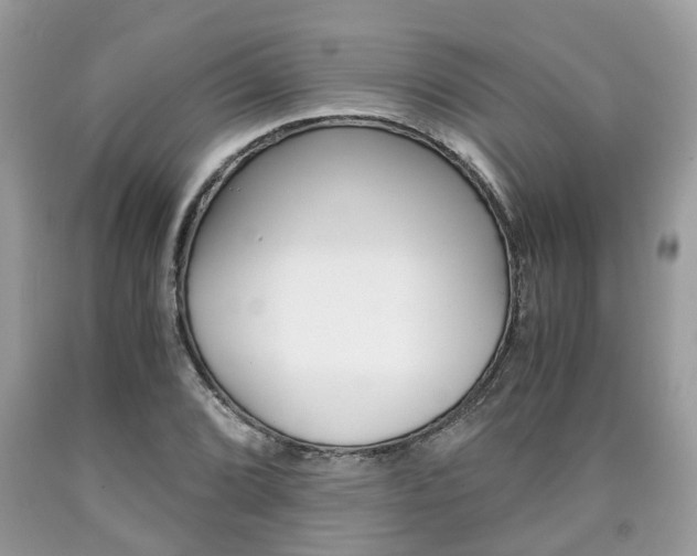 X0000090701072200707200923