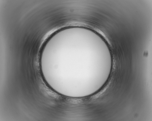 X0000090701074200707200923