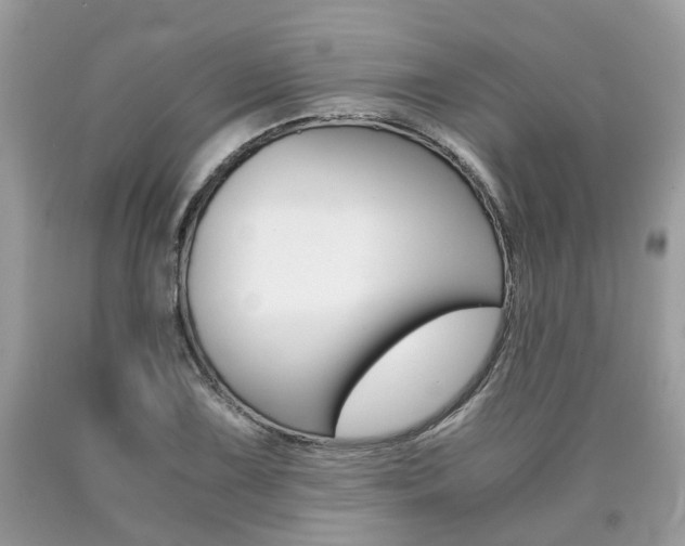 X0000090701075200707200923