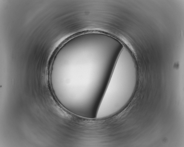 X0000090701076200707200923