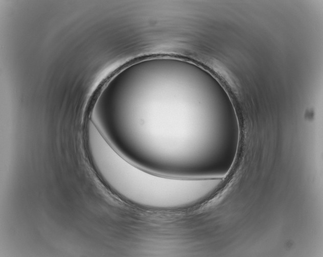 X0000090701077200707200923