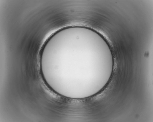 X0000090701078200707200923