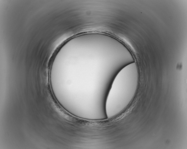 X0000090701079200707200923