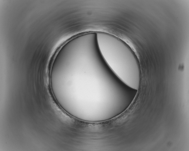 X0000090701080200707200923