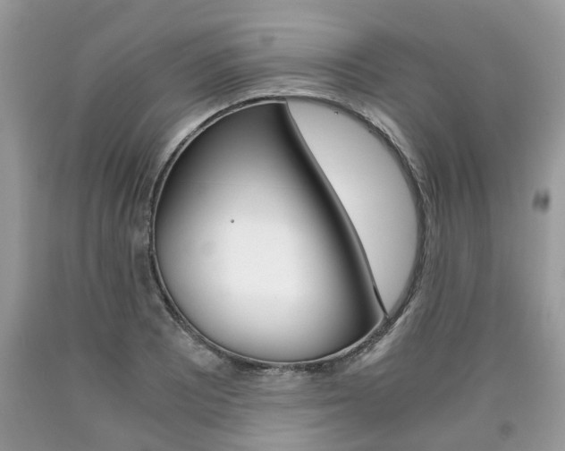 X0000090701081200707200923