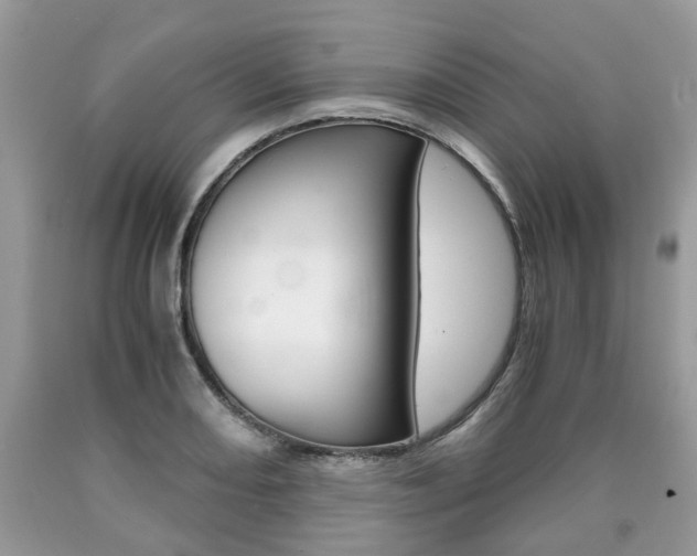X0000090701082200707200923