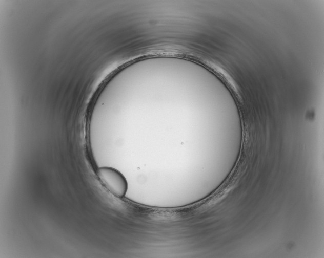 X0000090701083200707200923