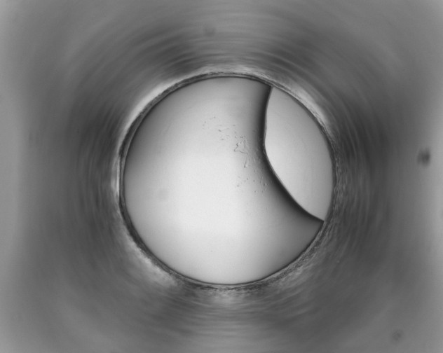 X0000090701084200707200923