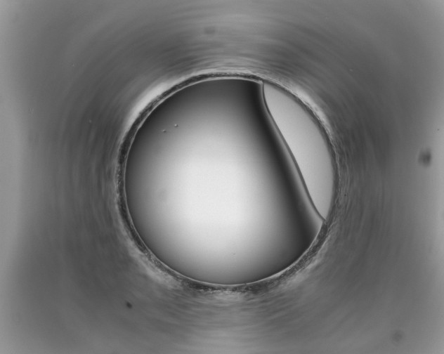 X0000090701085200707200923