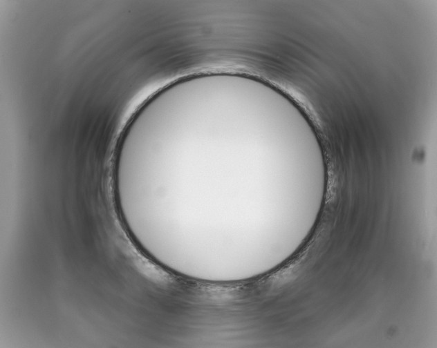 X0000090701086200707200923