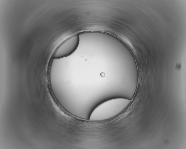 X0000090701087200707200923