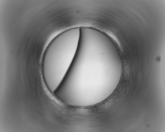 X0000090701088200707200923