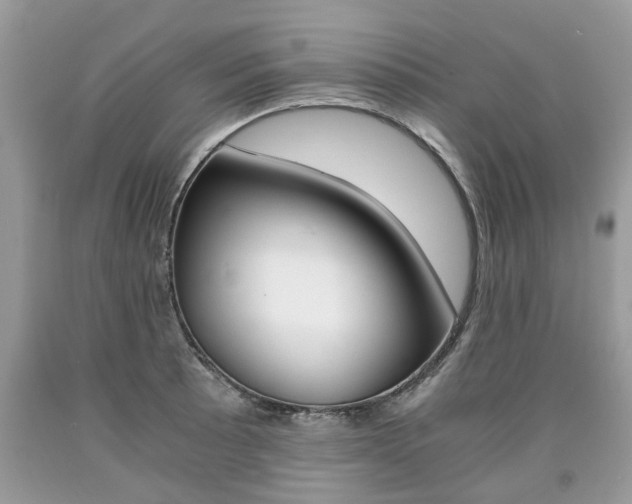 X0000090701089200707200923