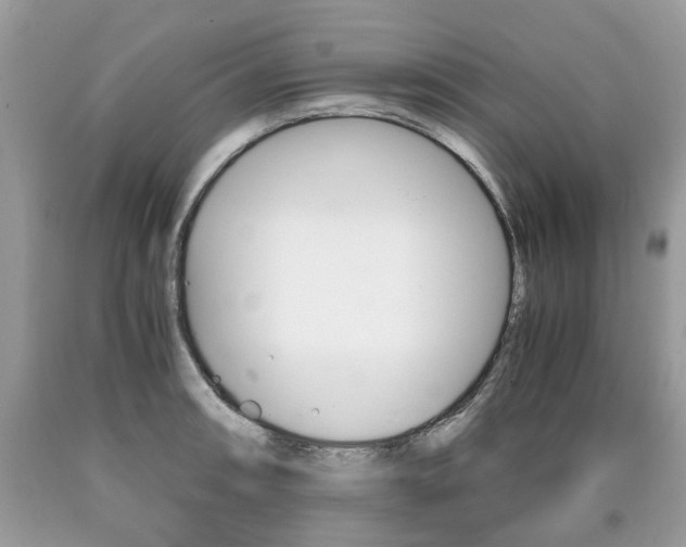 X0000090701090200707200923