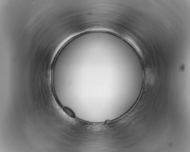 X0000090701092200707200923