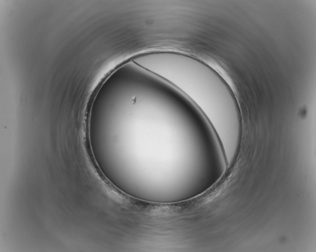 X0000090701093200707200923