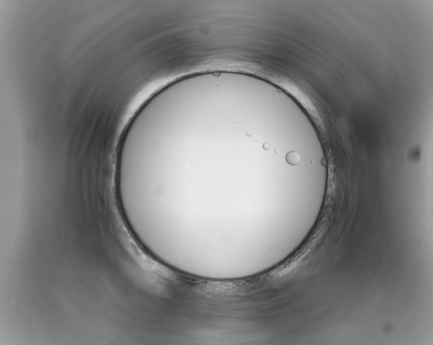 X0000090701094200707200923