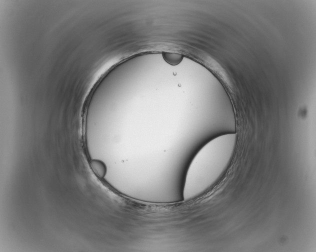 X0000090701095200707200923