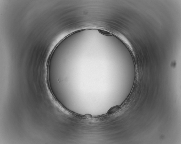 X0000090701096200707200923