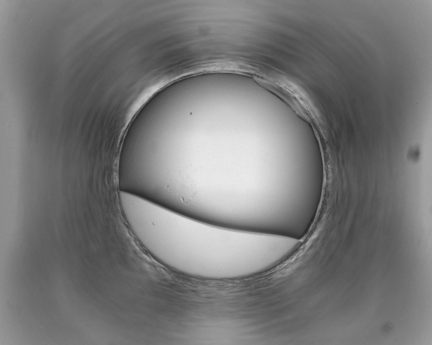 X0000090701097200707200923