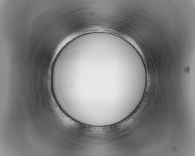 X0000090701098200707200923