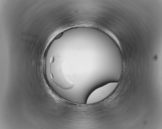 X0000090701099200707200923