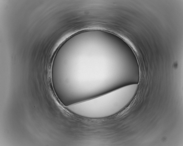 X0000090701101200707200923