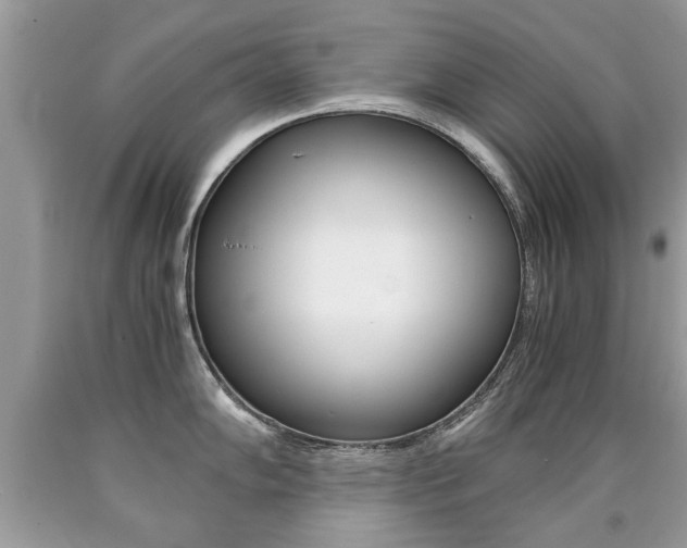 X0000090701102200707200923