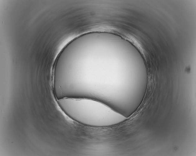 X0000090701103200707200923