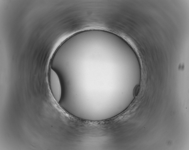 X0000090701104200707200923